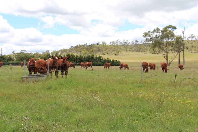 153 Knobs Road, Armidale NSW 2350