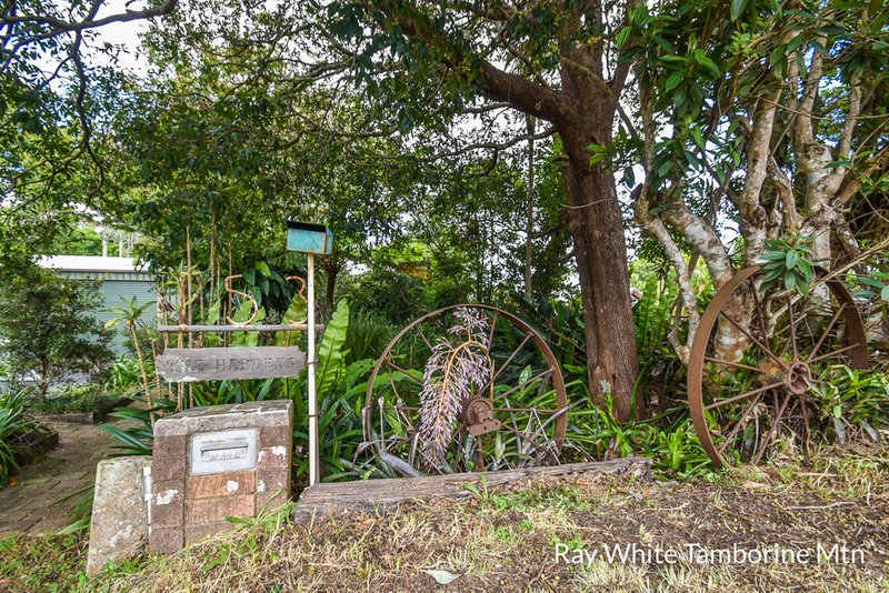 Photo - 153 Long Road, Tamborine Mountain QLD 4272 - Image 11