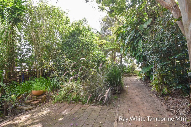 Photo - 153 Long Road, Tamborine Mountain QLD 4272 - Image 13