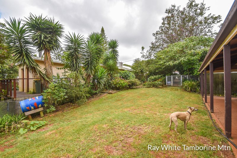 Photo - 153 Long Road, Tamborine Mountain QLD 4272 - Image 14