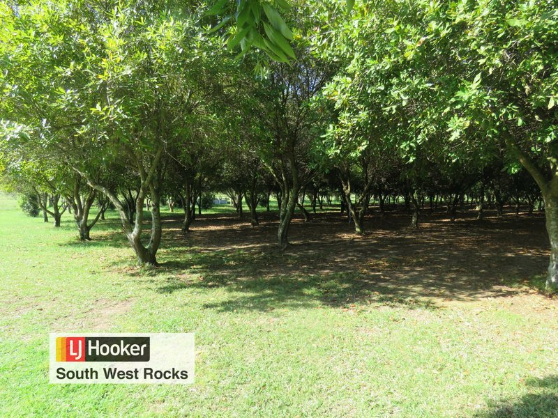 Photo - 153 Right Bank Road, Belmore River NSW 2440 - Image 22