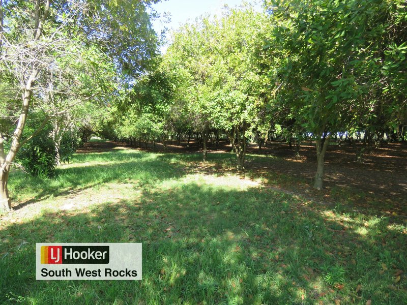 Photo - 153 Right Bank Road, Belmore River NSW 2440 - Image 24