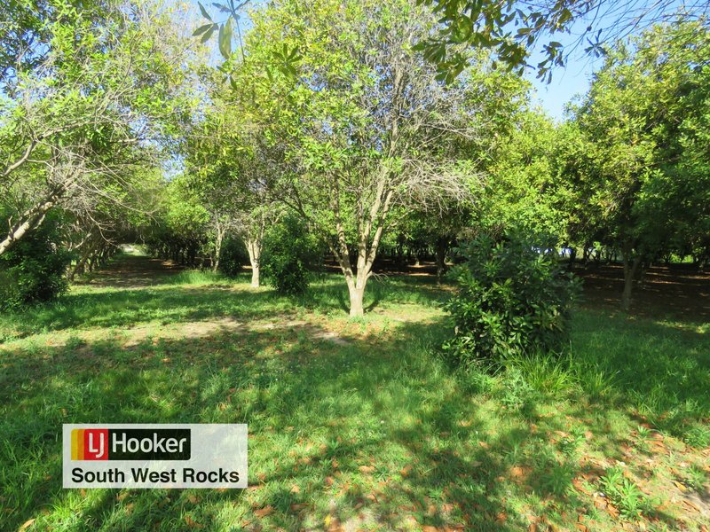 Photo - 153 Right Bank Road, Belmore River NSW 2440 - Image 25