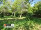 Photo - 153 Right Bank Road, Belmore River NSW 2440 - Image 25