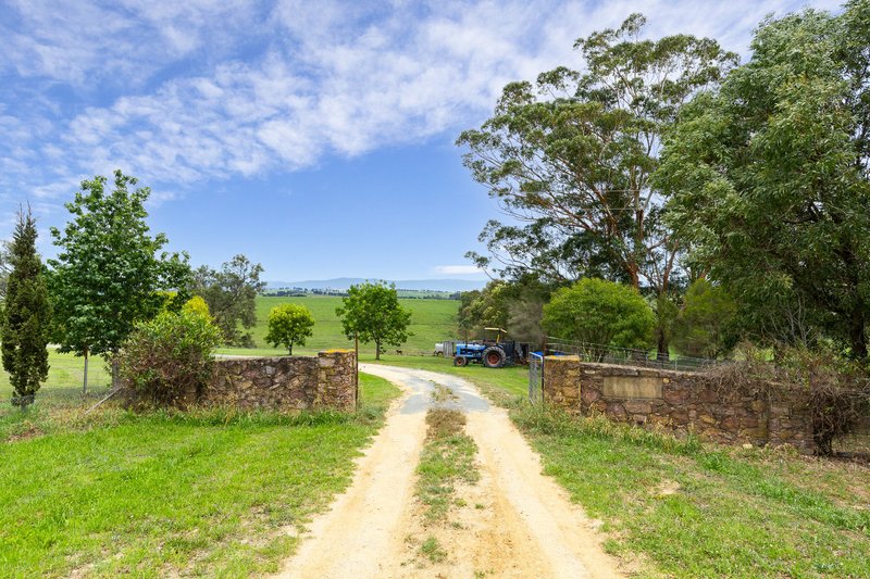 Photo - 153 Rosedale Lane, Candelo NSW 2550 - Image 2