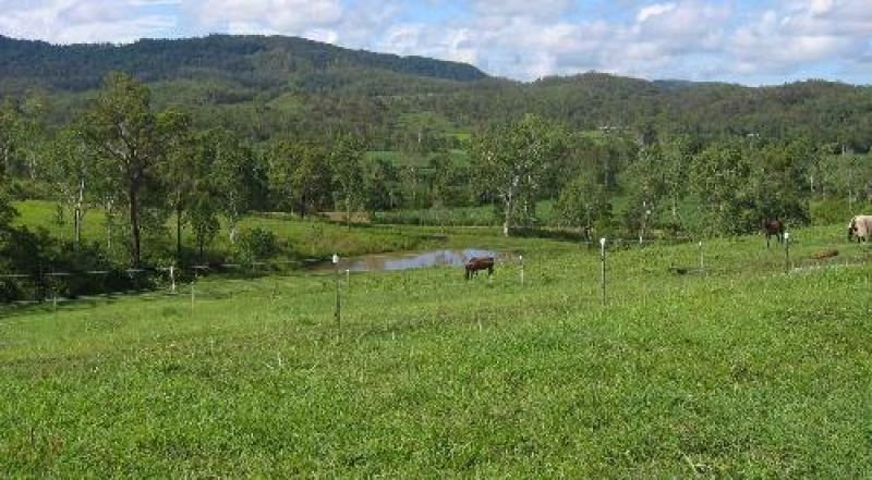 Photo - 153 Sugar Loaf Road, Mirani QLD 4754 - Image 5