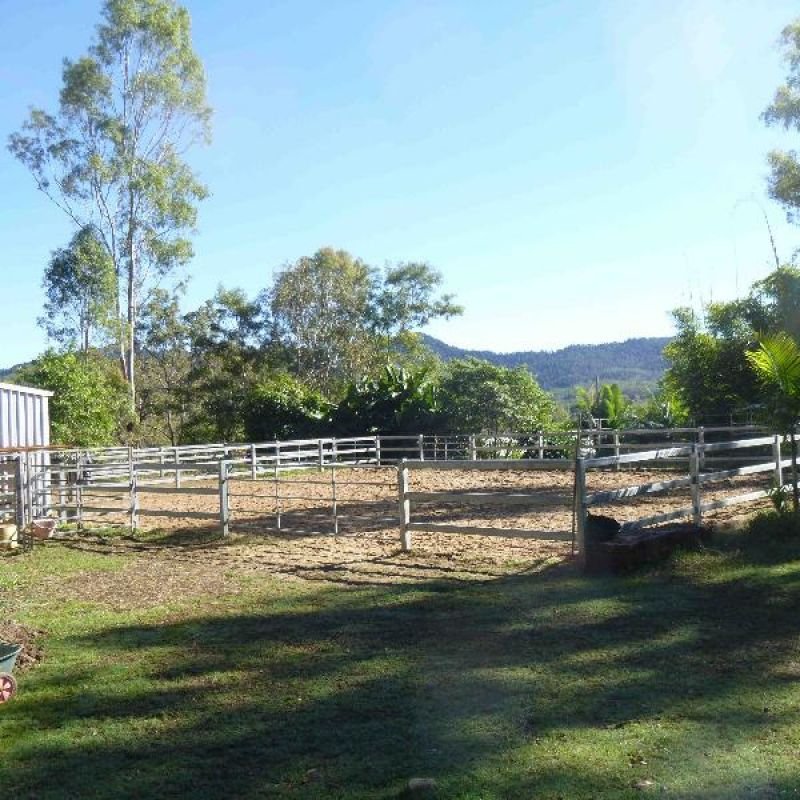 Photo - 153 Sugar Loaf Road, Mirani QLD 4754 - Image 11