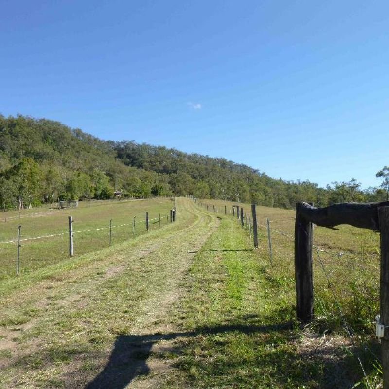 Photo - 153 Sugar Loaf Road, Mirani QLD 4754 - Image 13