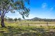 Photo - "1530" 1530 Pittsworth-Felton Road, Felton QLD 4358 - Image 7