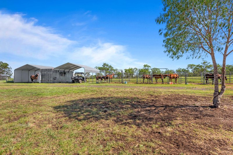 Photo - "1530" 1530 Pittsworth-Felton Road, Felton QLD 4358 - Image 16