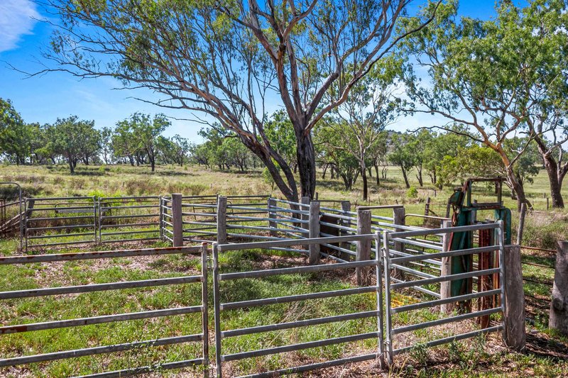 Photo - "1530" 1530 Pittsworth-Felton Road, Felton QLD 4358 - Image 18