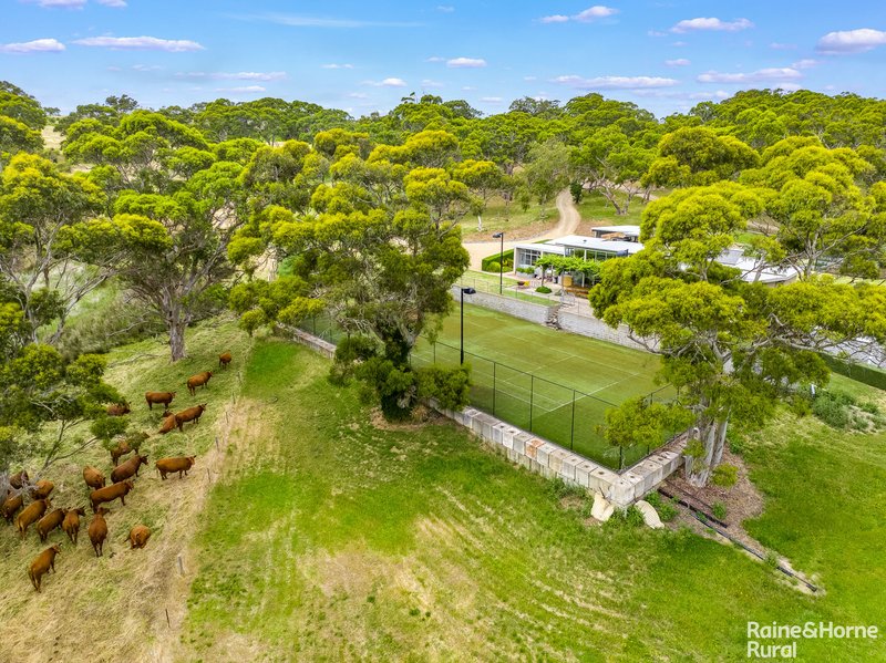 Photo - 1533 Waitpinga Road, Waitpinga SA 5211 - Image 25