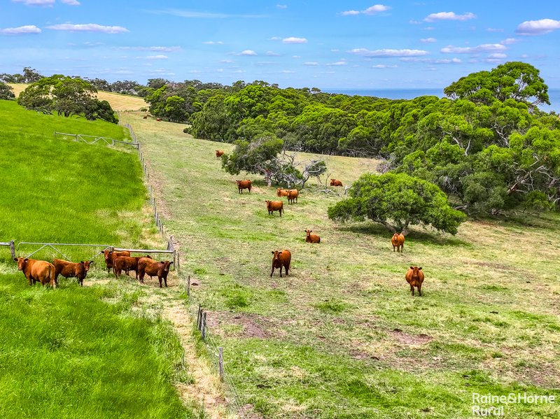 Photo - 1533 Waitpinga Road, Waitpinga SA 5211 - Image 28