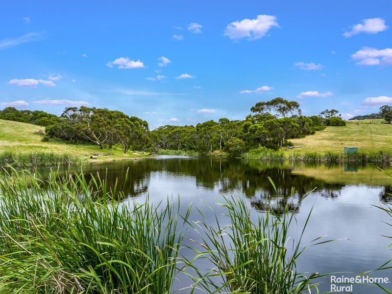 Photo - 1533 Waitpinga Road, Waitpinga SA 5211 - Image 32