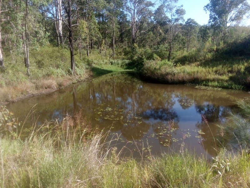 Photo - 1534 AB Paddy'S Flat Road, Tabulam NSW 2469 - Image 8