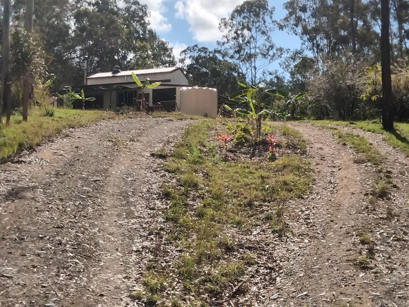 Photo - 1534 AB Paddy'S Flat Road, Tabulam NSW 2469 - Image 14