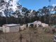 Photo - 1534 AB Paddy'S Flat Road, Tabulam NSW 2469 - Image 22