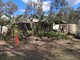 Photo - 1534 AB Paddy'S Flat Road, Tabulam NSW 2469 - Image 25