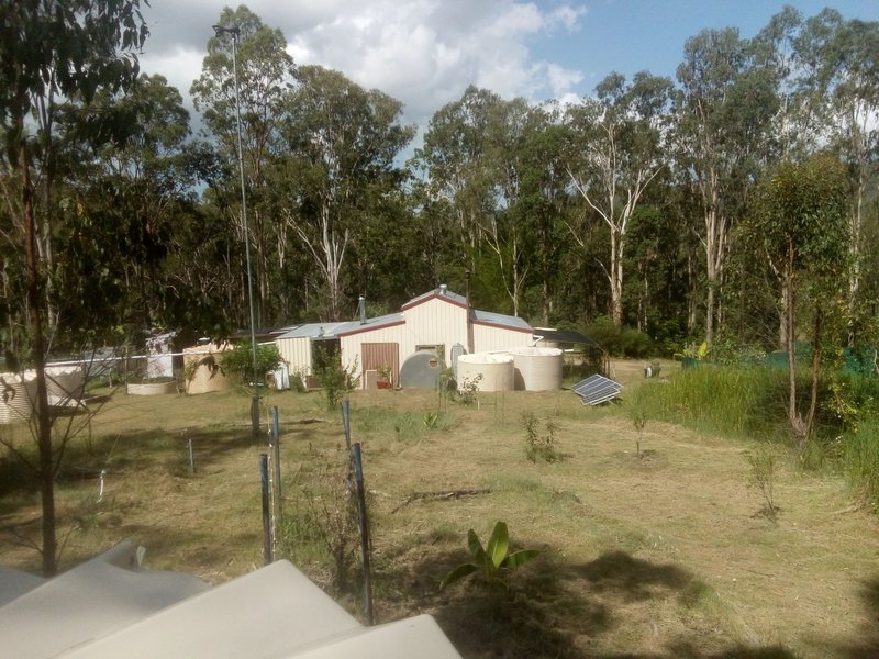 Photo - 1534 AB Paddy'S Flat Road, Tabulam NSW 2469 - Image 8