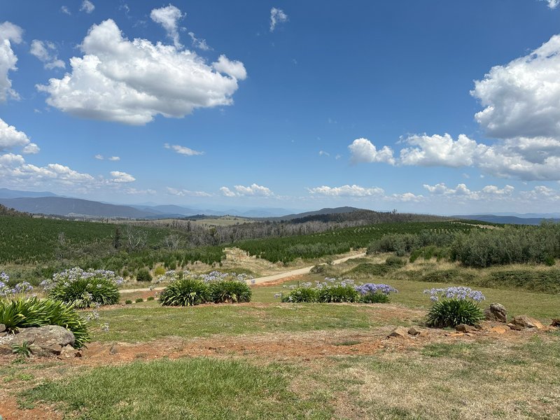 Photo - 1535 Tooma Road, Tumbarumba NSW 2653 - Image 2