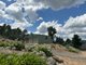 Photo - 1535 Tooma Road, Tumbarumba NSW 2653 - Image 18