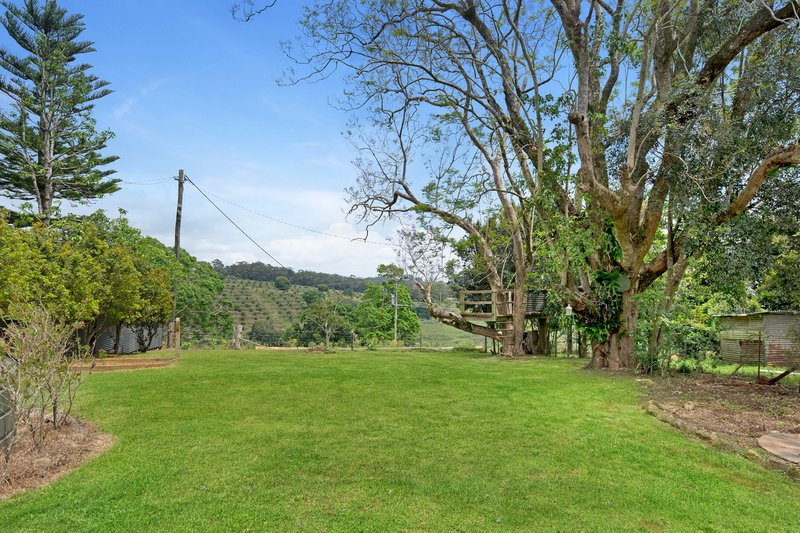 Photo - 1536 Beechmont Road, Beechmont QLD 4211 - Image 10