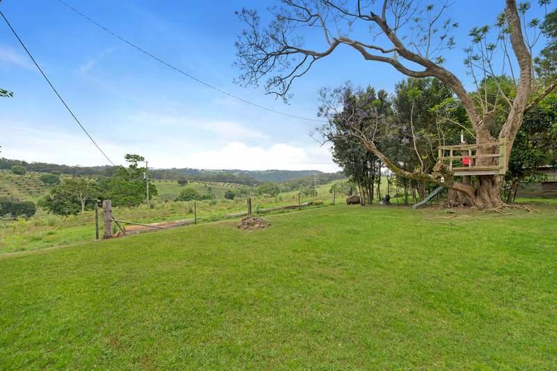 Photo - 1536 Beechmont Road, Beechmont QLD 4211 - Image 11