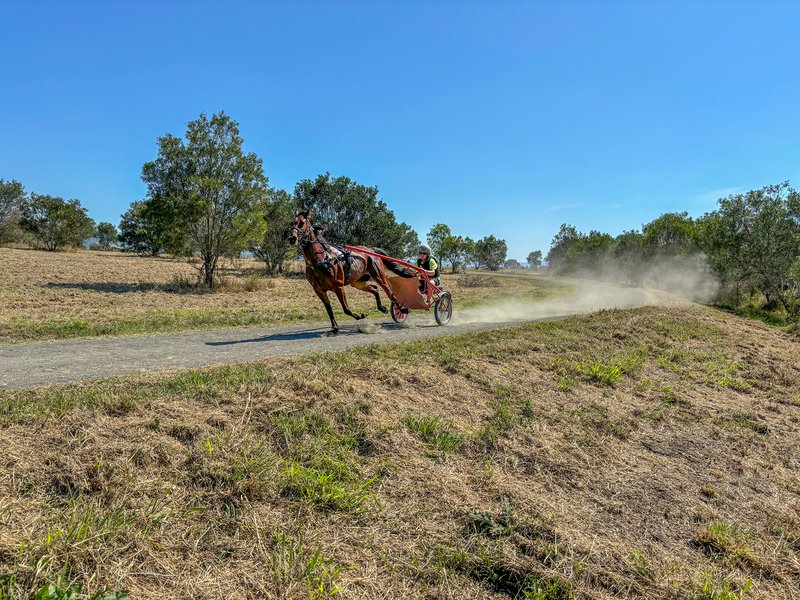 Photo - 154-162 Linnings Road, Haigslea QLD 4306 - Image 3