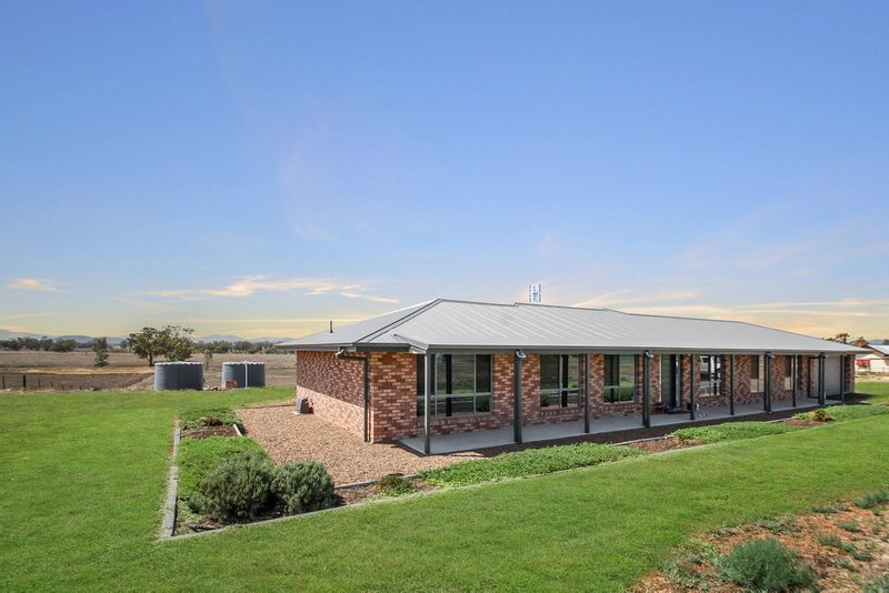 154 Borah Creek Road, Quirindi NSW 2343