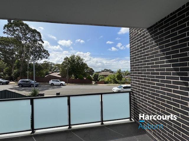 Photo - 154 Edgar Street, Condell Park NSW 2200 - Image 21