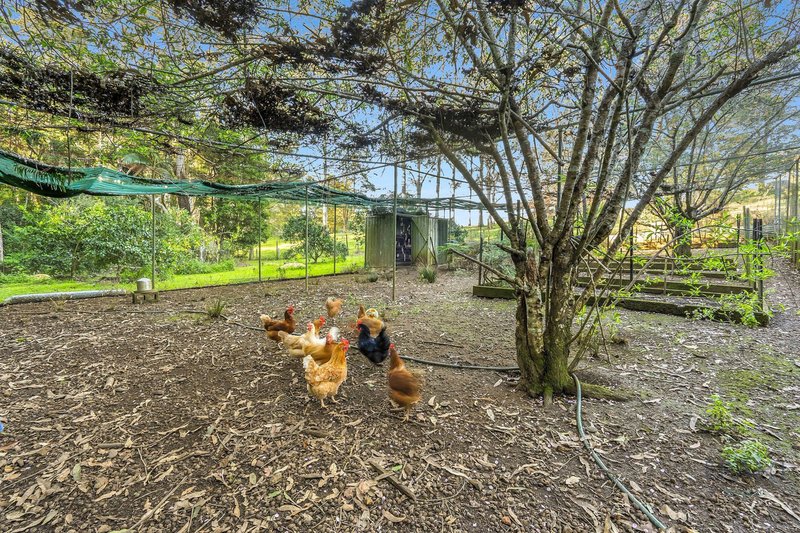 Photo - 154 Engle Road, Reesville QLD 4552 - Image 28