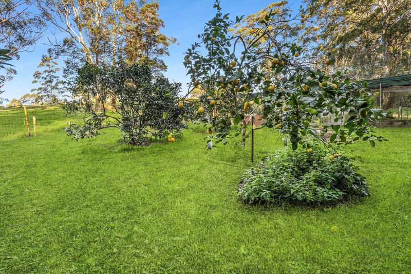 Photo - 154 Engle Road, Reesville QLD 4552 - Image 30
