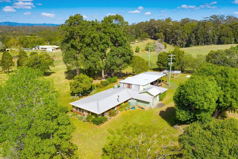 Photo - 154 Fishers Ridge, Mortons Creek NSW 2446 - Image 19