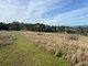 Photo - 154 Winchester Lane, Table Top NSW 2640 - Image 4