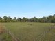 Photo - 1546 Waterford Tamborine Road, Logan Village QLD 4207 - Image 4