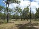 Photo - 1548 Tableland Road, Mount Maria QLD 4674 - Image 3