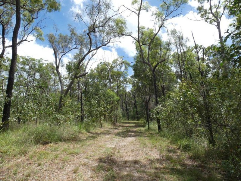 Photo - 1548 Tableland Road, Mount Maria QLD 4674 - Image 7