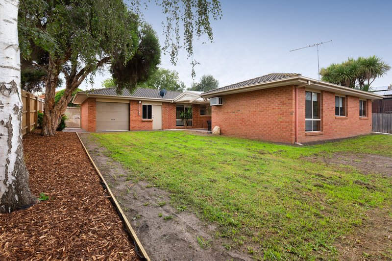 Photo - 155 Bemersyde Drive, Berwick VIC 3806 - Image 15