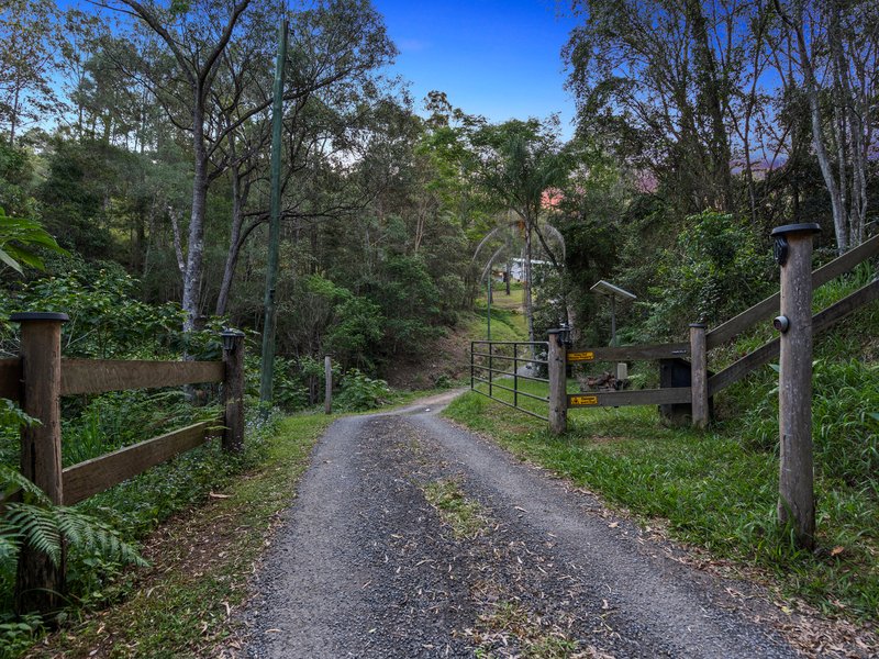 Photo - 155 Candy Creek Road, Guanaba QLD 4210 - Image 8