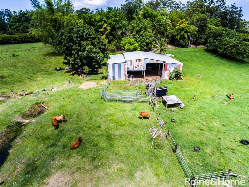 Photo - 155 Cootharaba Downs Road, Cootharaba QLD 4565 - Image 17