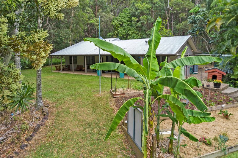 Photo - 155 Dahlia Road, Verrierdale QLD 4562 - Image 20