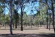 Photo - 155 Littles Road, Ivory Creek QLD 4313 - Image 10