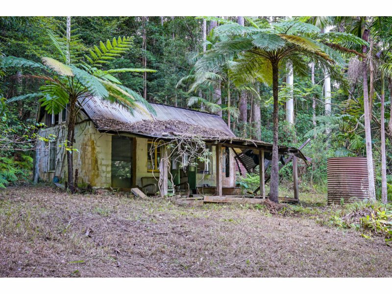 Photo - 155 Mapleton Forest Road, Mapleton QLD 4560 - Image 10