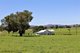 Photo - 155 Paynes Road, Quirindi NSW 2343 - Image 2