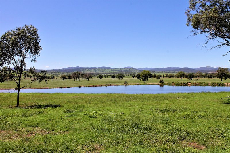 Photo - 155 Paynes Road, Quirindi NSW 2343 - Image 3