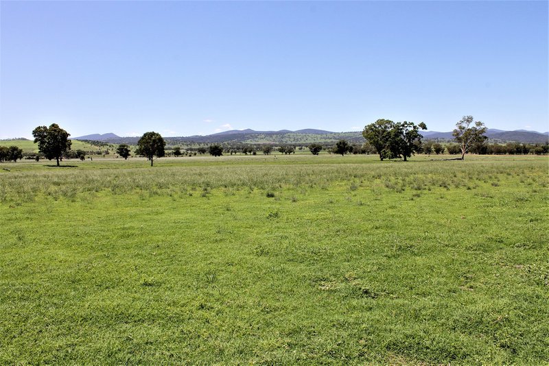 Photo - 155 Paynes Road, Quirindi NSW 2343 - Image 6