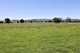 Photo - 155 Paynes Road, Quirindi NSW 2343 - Image 6