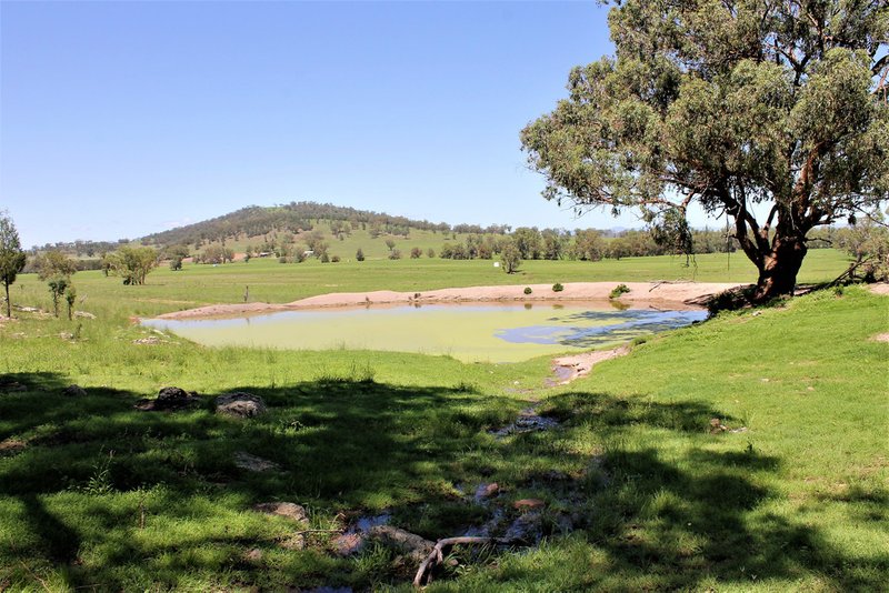 Photo - 155 Paynes Road, Quirindi NSW 2343 - Image 12