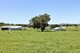 Photo - 155 Paynes Road, Quirindi NSW 2343 - Image 13