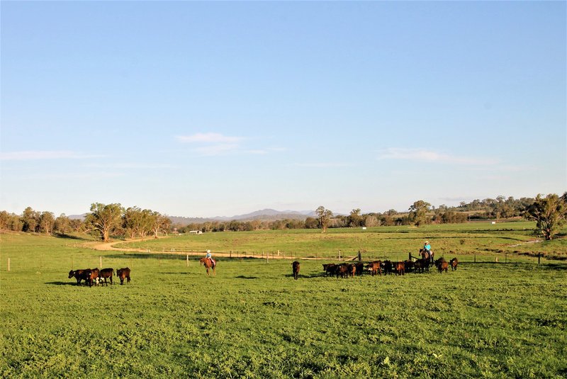 Photo - 155 Paynes Road, Quirindi NSW 2343 - Image 14